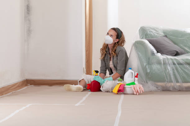 Reliable Mold Remediation contractor in L'Anse, MI by 24 Hour Mold Removal